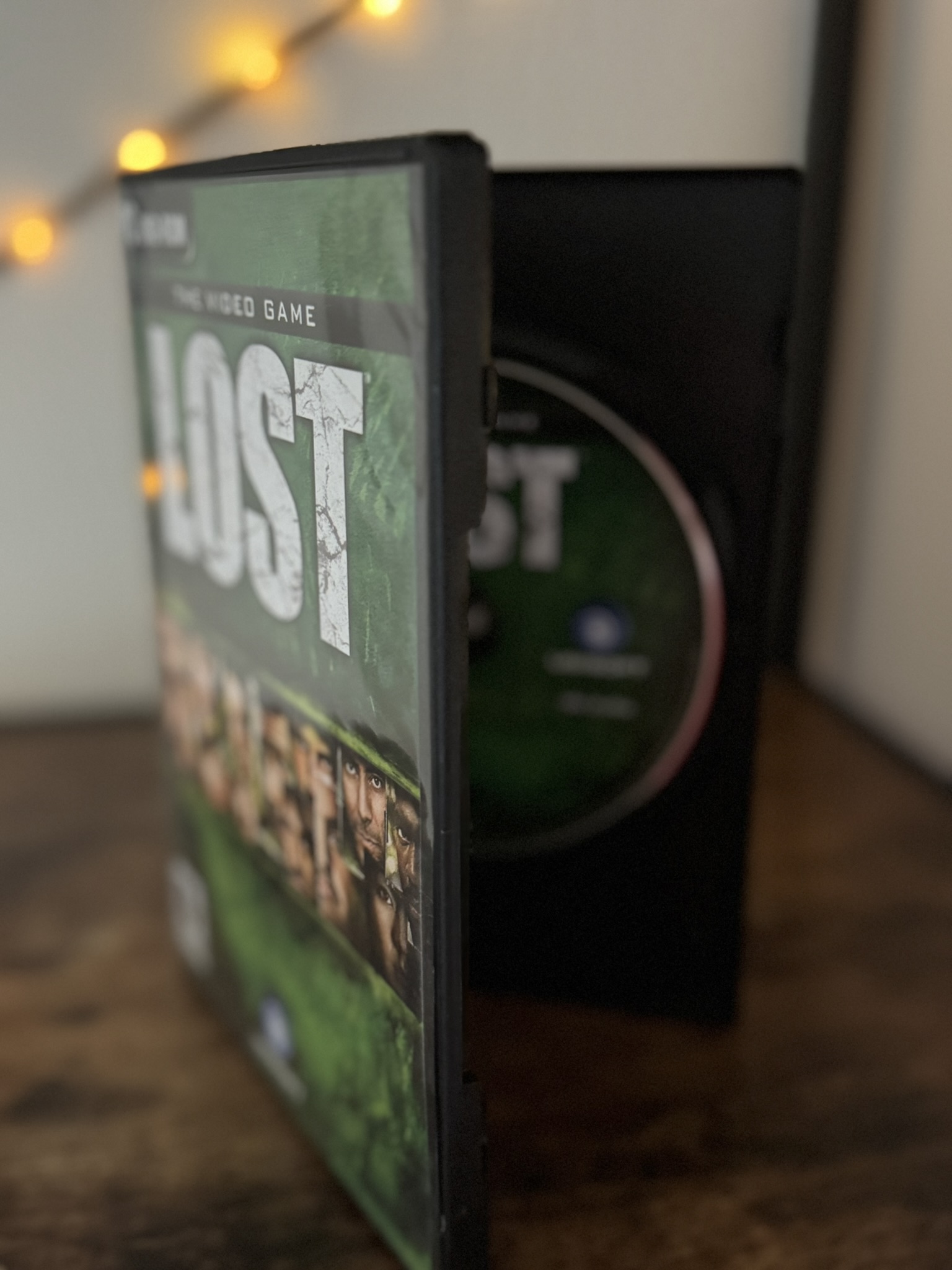 Lost (PC)